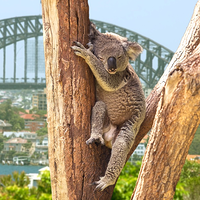 Holla Koala